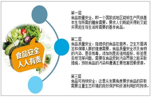 2021-2027年中國(guó)食品安全產(chǎn)業(yè)發(fā)展動(dòng)態(tài)及投資戰(zhàn)略規(guī)劃深度分析報(bào)告